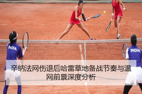 辛纳法网伤退后哈雷草地备战节奏与温网前景深度分析